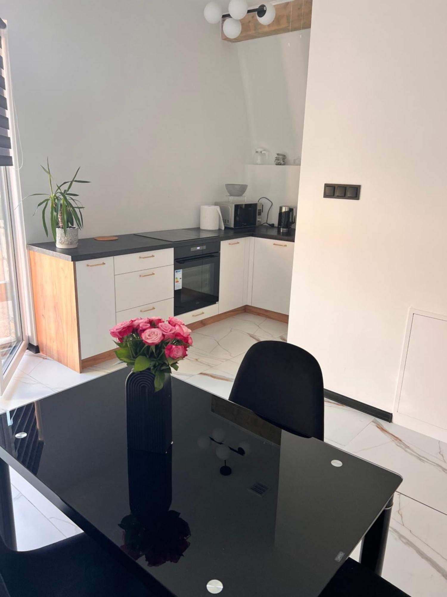 Dworskiego 74 Apartament 1 プシェムィシル エクステリア 写真